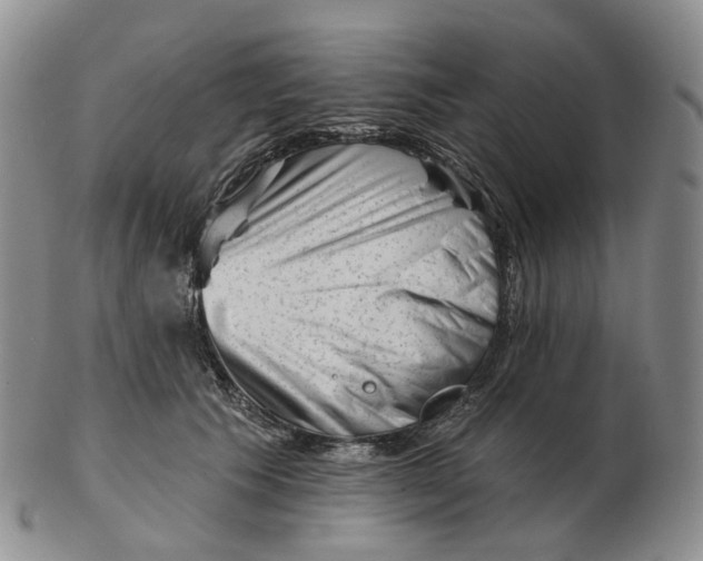 X0000103150609200809121817