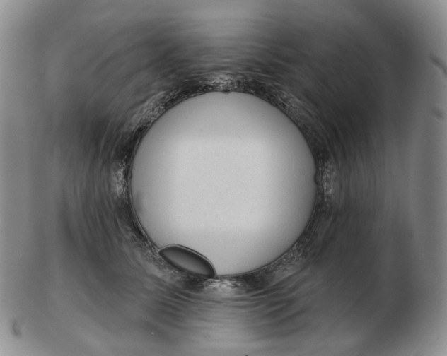 X0000103150611200809121817