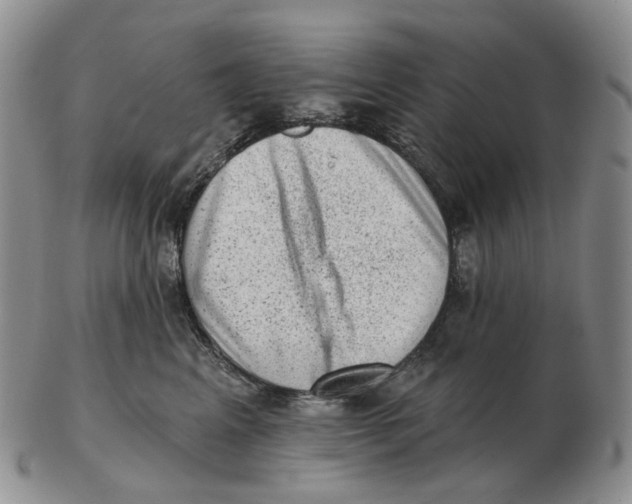 X0000103150617200809121817