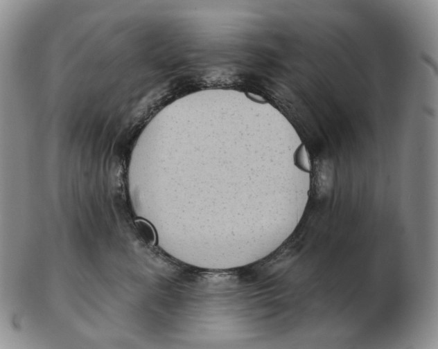 X0000103150619200809121817