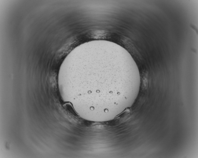 X0000103150620200809121817