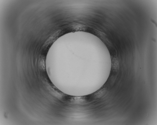 X0000103150622200809121817