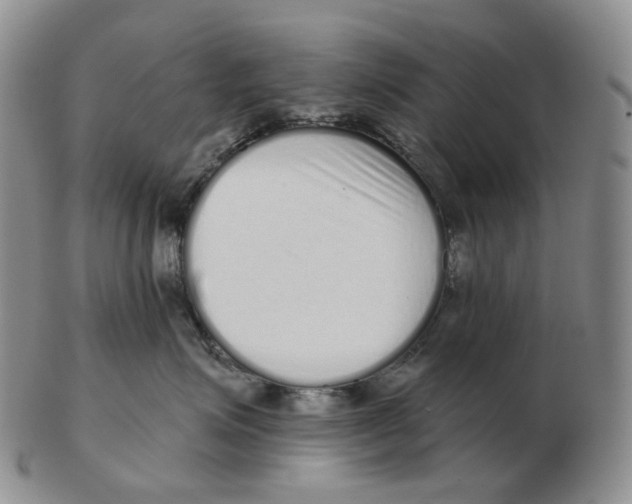 X0000103150623200809121817