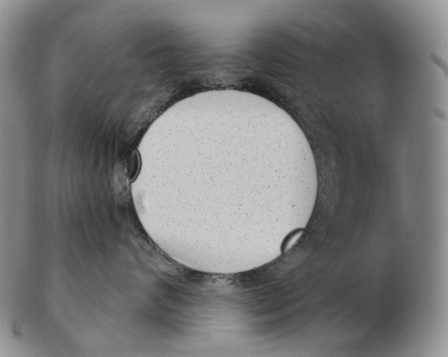 X0000103150624200809121817