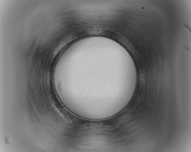 X0000103150626200809121817