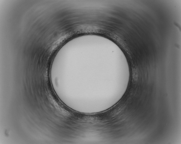 X0000103150629200809121817