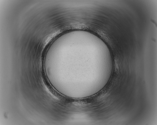 X0000103150630200809121817