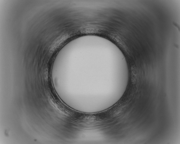 X0000103150631200809121817