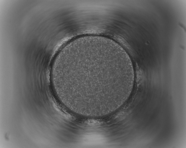 X0000103150632200809121817