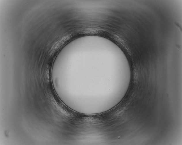 X0000103150633200809121817