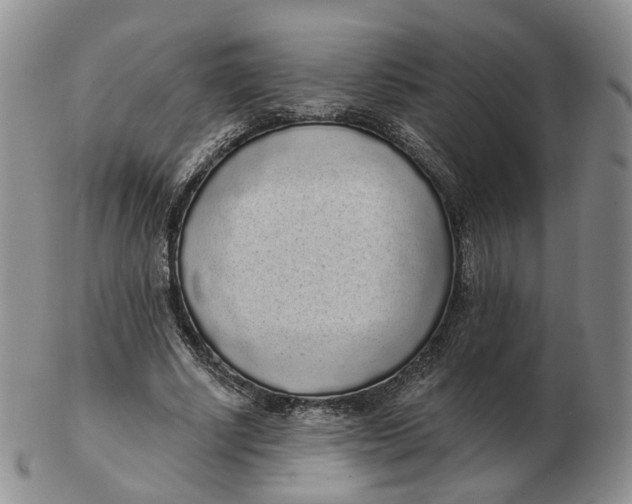 X0000103150634200809121817