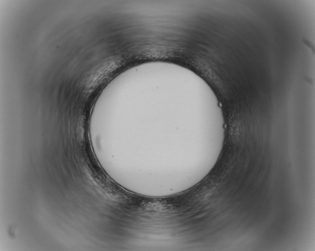 X0000103150635200809121817