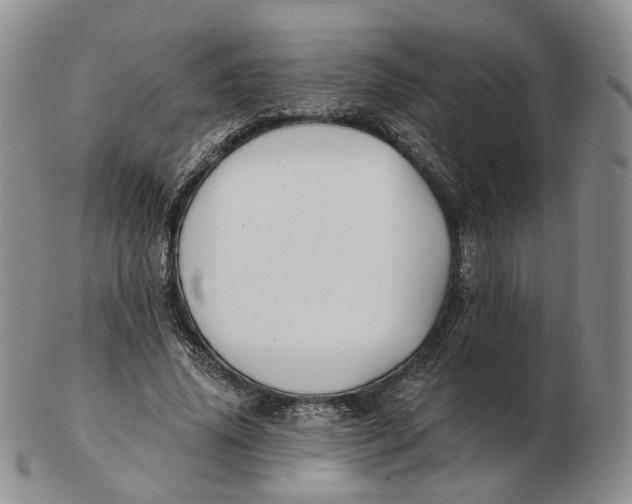 X0000103150636200809121817