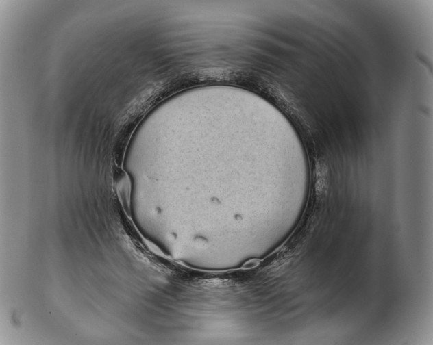 X0000103150637200809121817