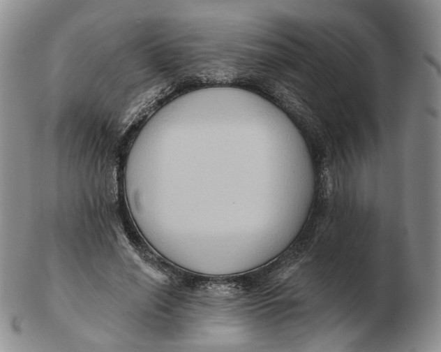 X0000103150638200809121817