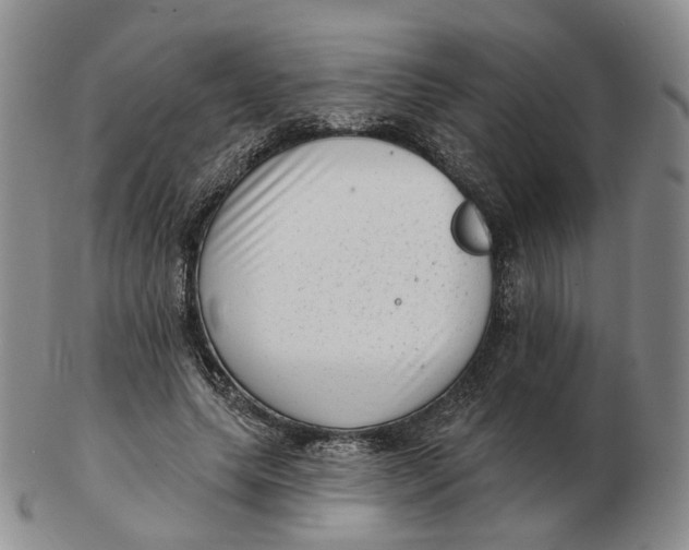 X0000103150639200809121817