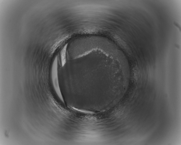 X0000103150640200809121817