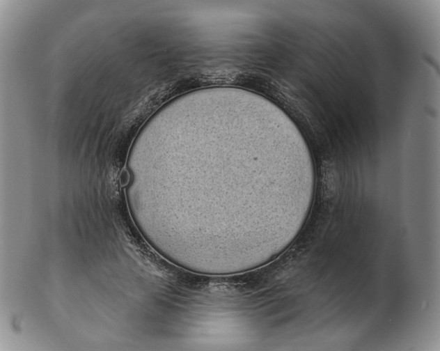 X0000103150641200809121817