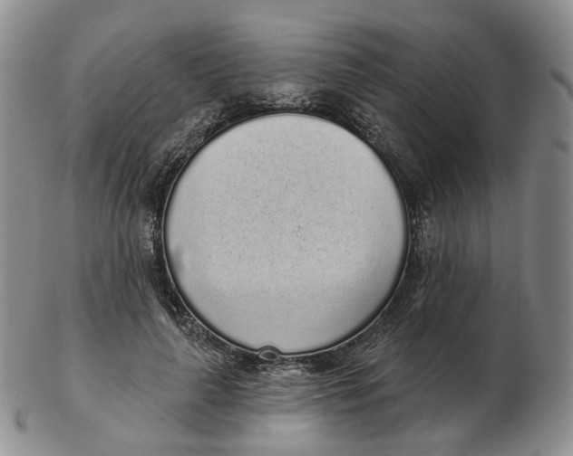 X0000103150643200809121817