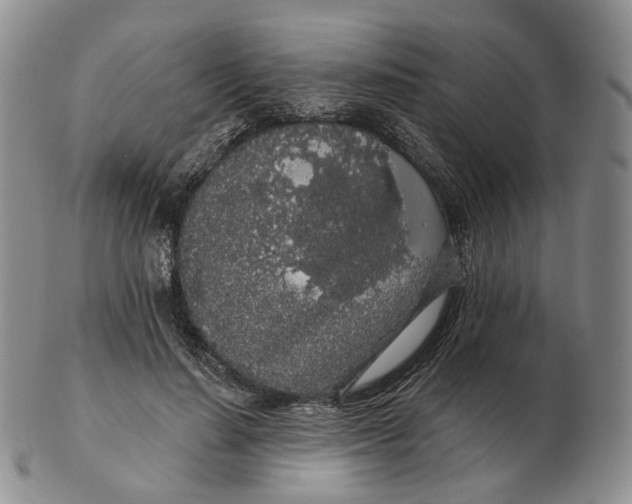 X0000103150644200809121817