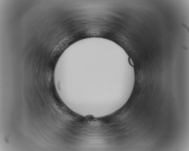 X0000103150645200809121817