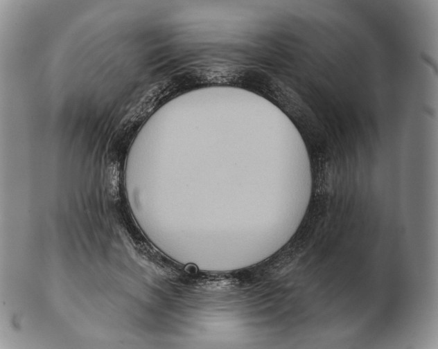 X0000103150646200809121817