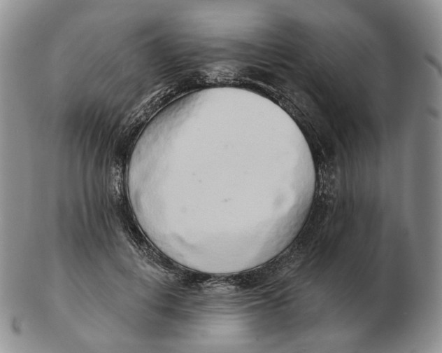 X0000103150648200809121817