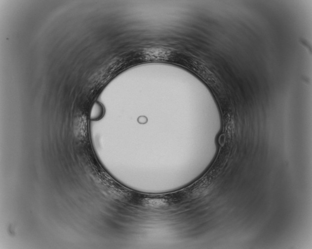 X0000103150649200809121817