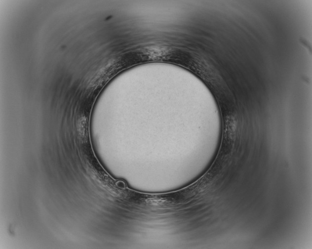 X0000103150650200809121817