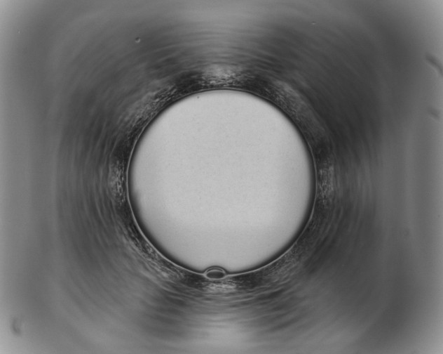 X0000103150653200809121817