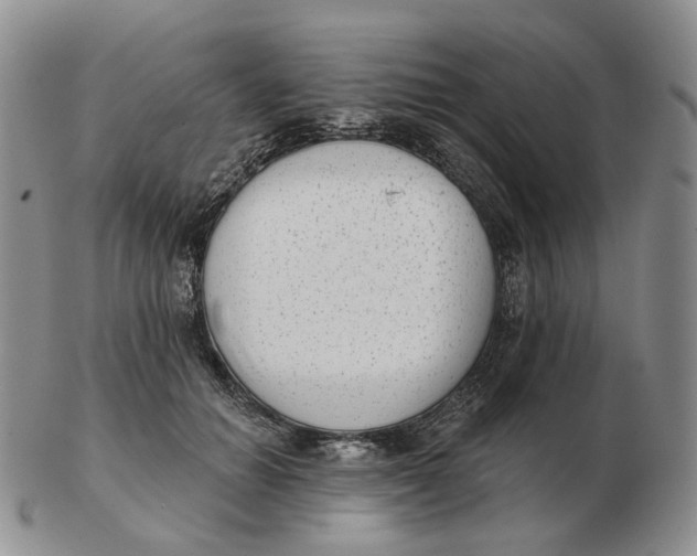 X0000103150654200809121817