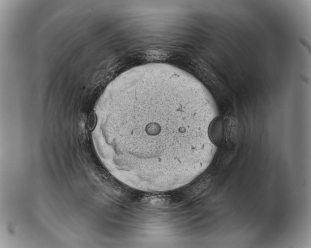 X0000103150655200809121817