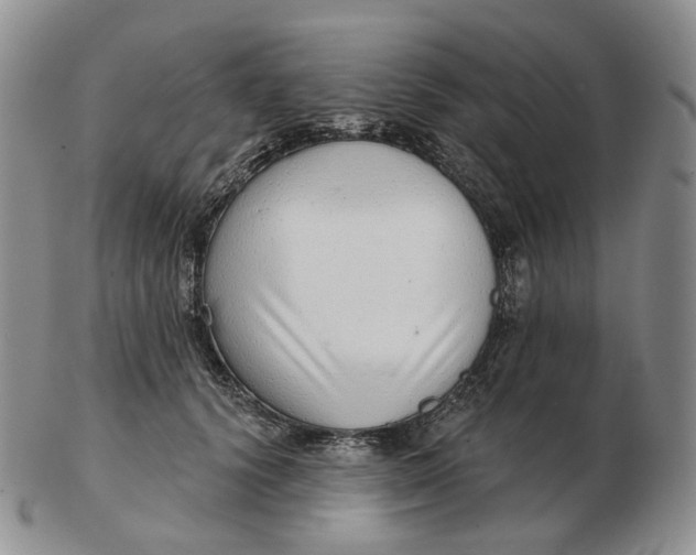 X0000103150656200809121817