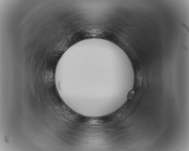 X0000103150657200809121817