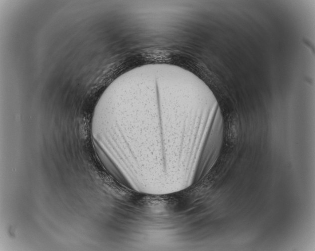 X0000103150658200809121817