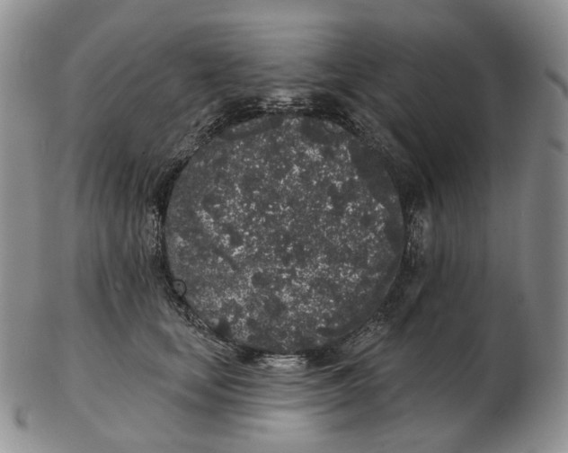 X0000103150659200809121817