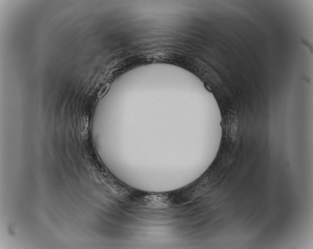 X0000103150660200809121817