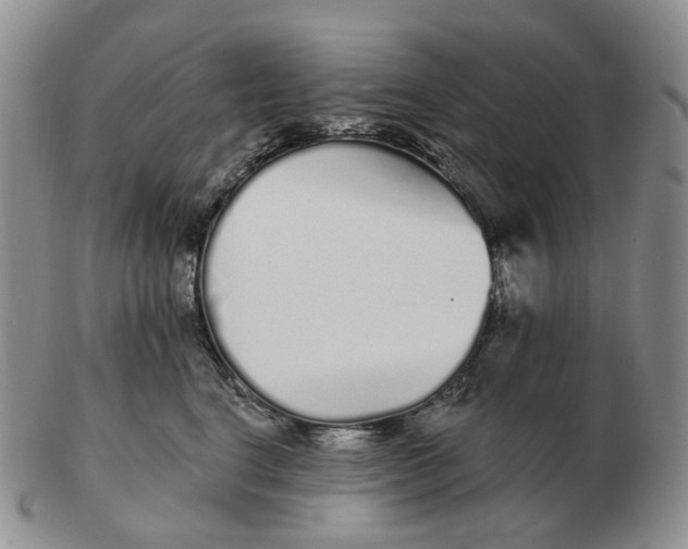 X0000103150664200809121817