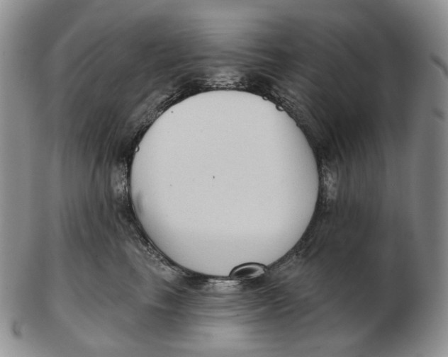 X0000103150665200809121817