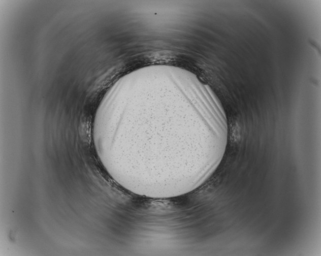 X0000103150666200809121817