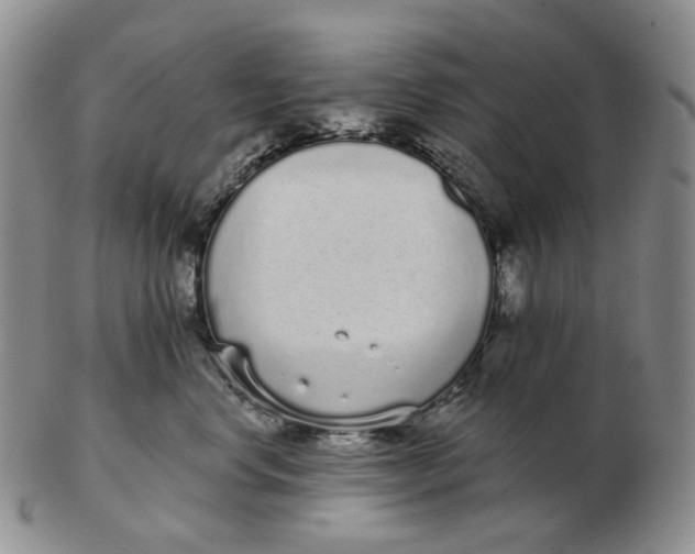 X0000103150668200809121817