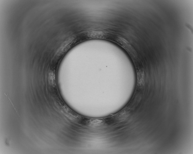 X0000103150669200809121817