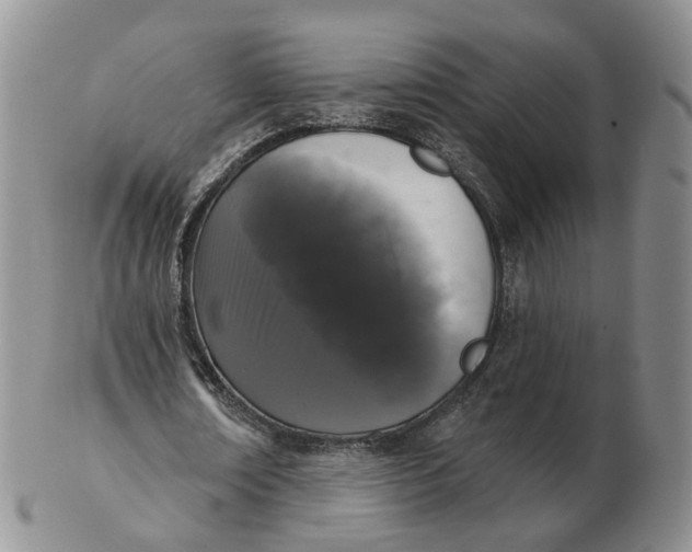 X0000103150674200809121817