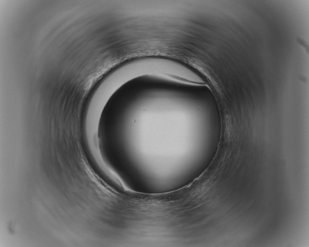 X0000103150677200809121817