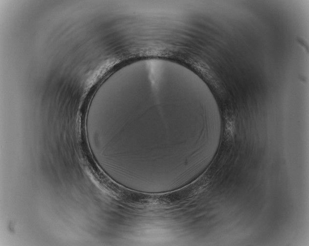 X0000103150678200809121816