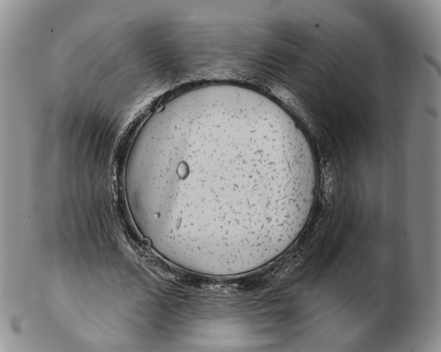 X0000103150680200809121816