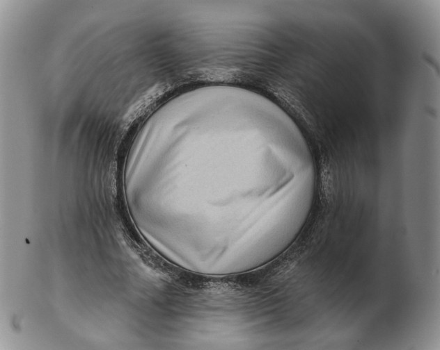 X0000103150682200809121816