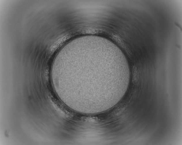 X0000103150683200809121816