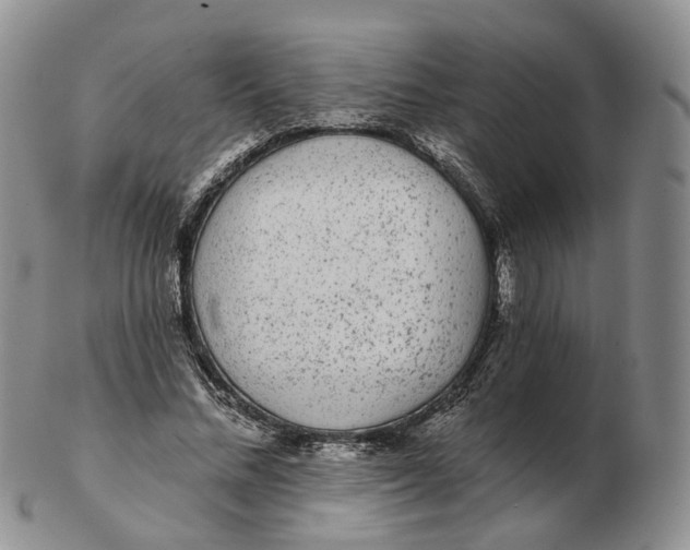 X0000103150684200809121816