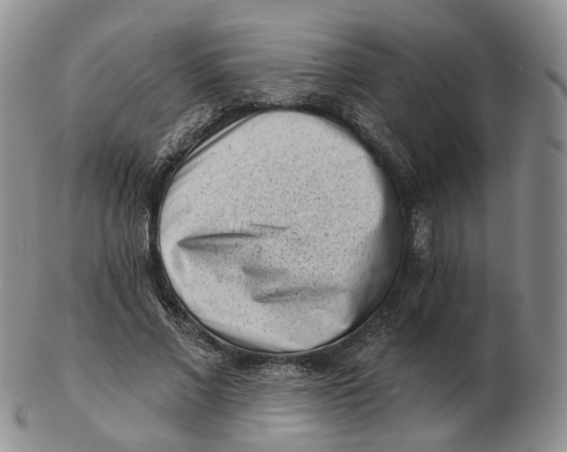 X0000103150685200809121816